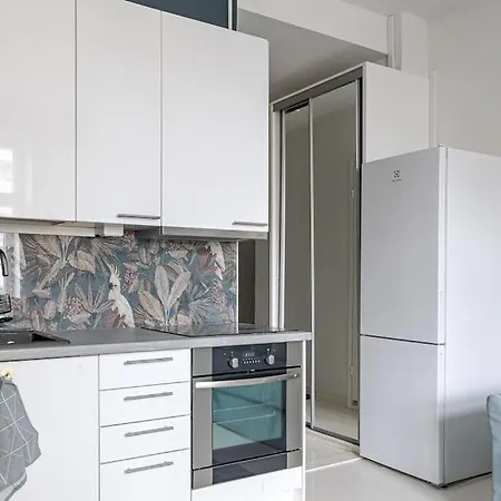 Renovated In Daire Helsinki